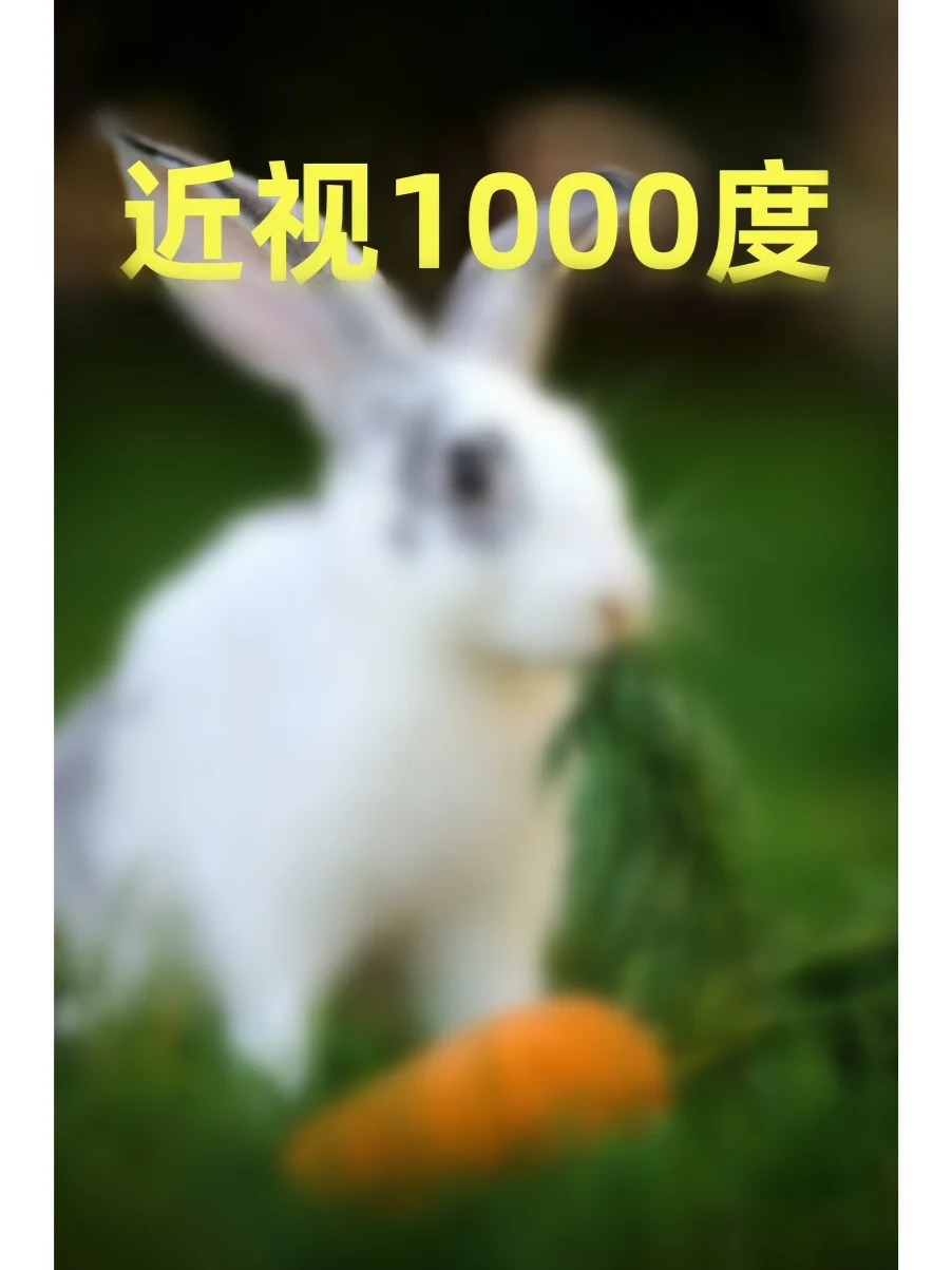 你的近视属于哪一级?别等度数爆表才后悔!