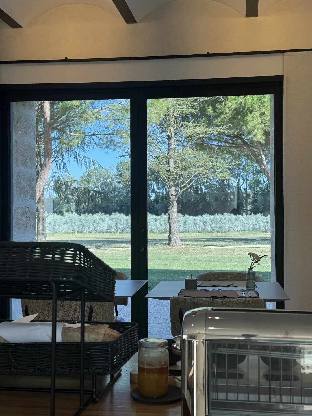 住进了南法的葡萄酒庄园