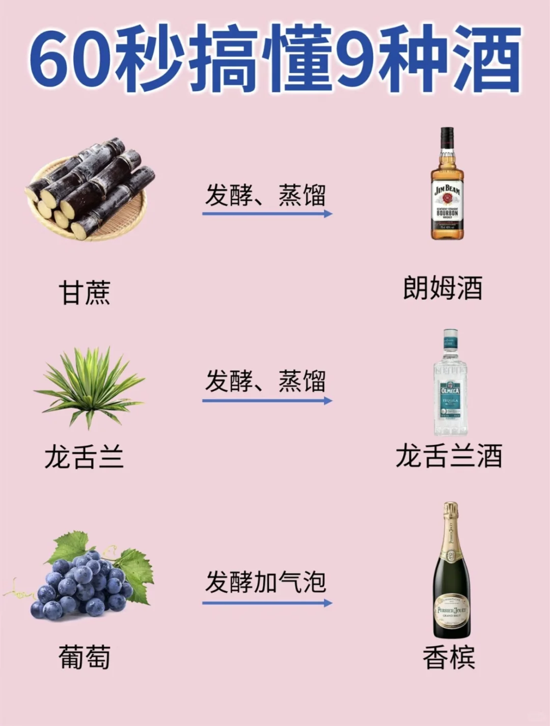 一次性搞懂9种酒