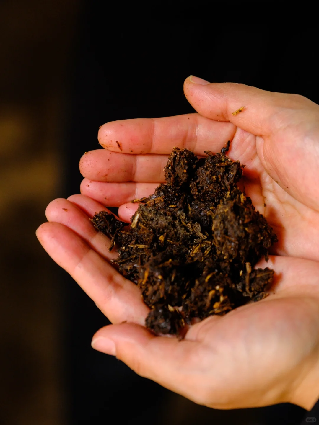 坤沙12987工艺，成就酱香酒的巅峰之路！