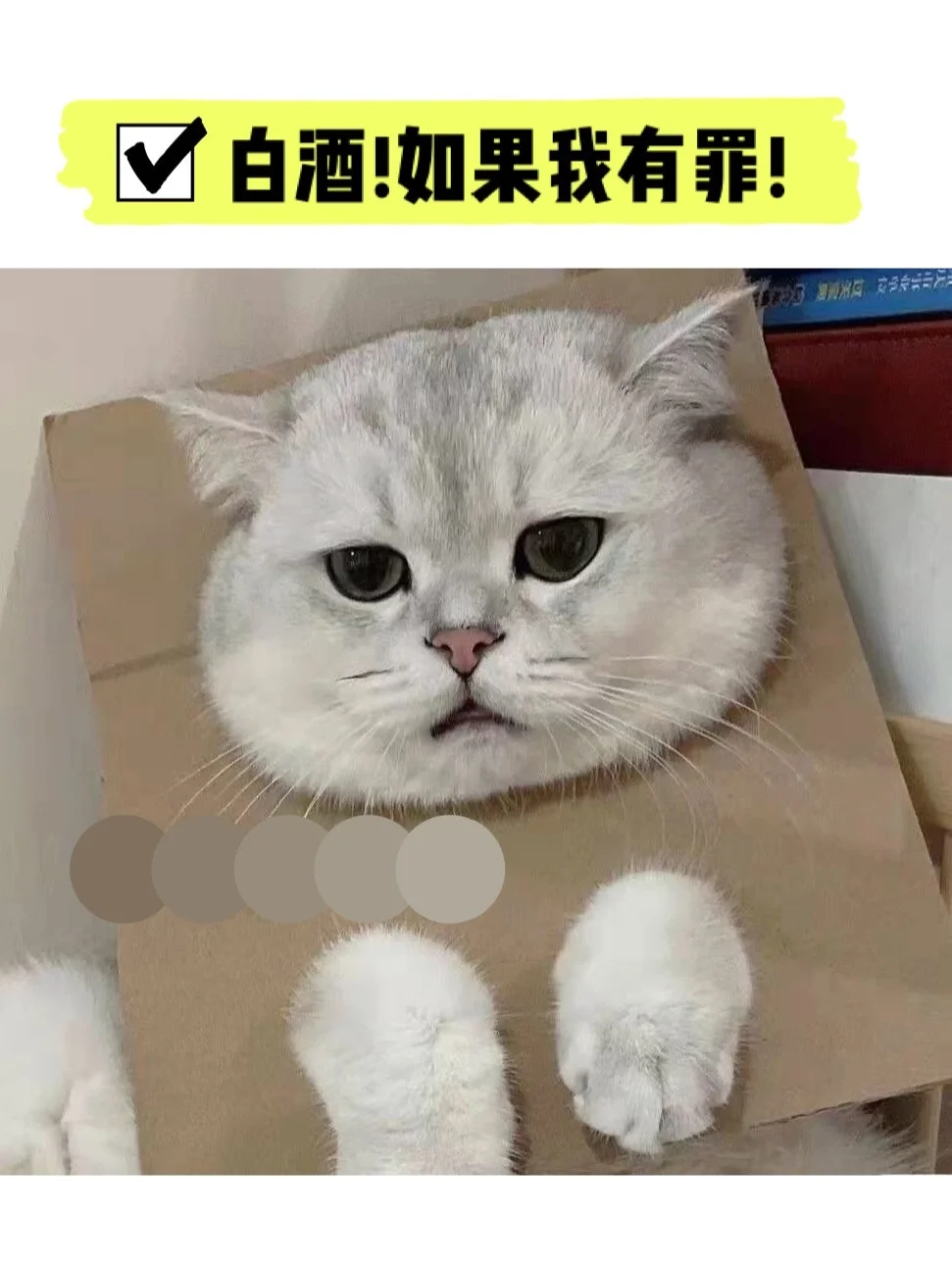 白酒，以后各自安好，有缘江湖再见！