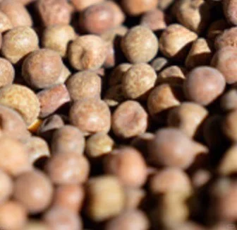 原来清香白酒里的豌豆，才是“高级感”密码！?