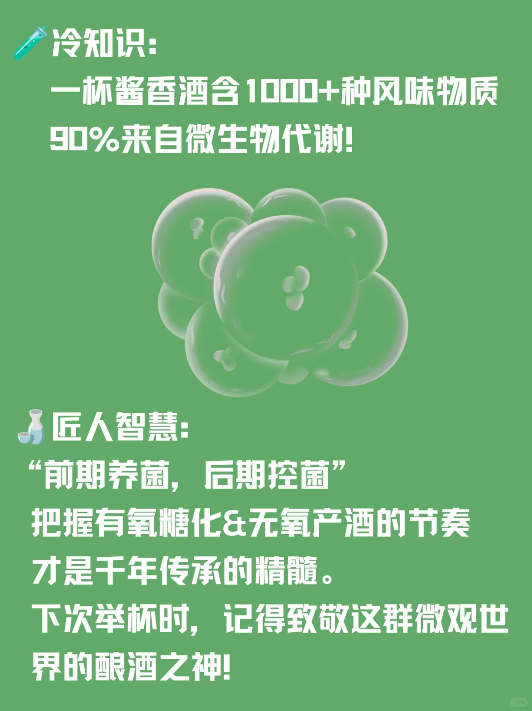 看不见的酿酒师｜白酒里的神秘微生物军团