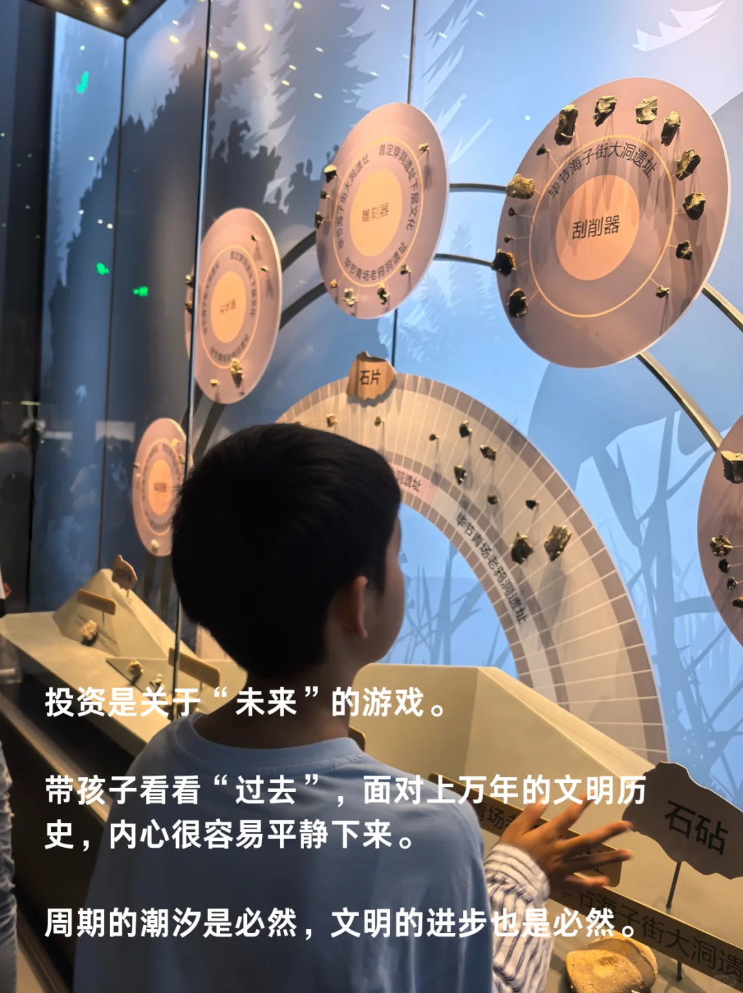 股市波动中的生存法则