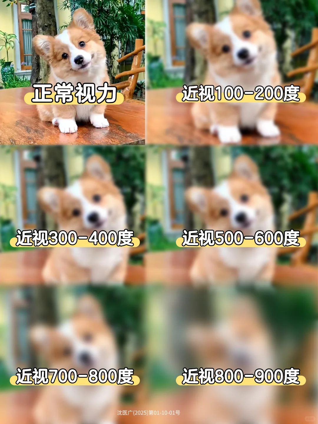 来看看不同近视度数看到的世界✨