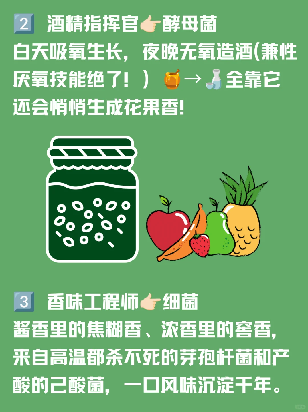 看不见的酿酒师｜白酒里的神秘微生物军团