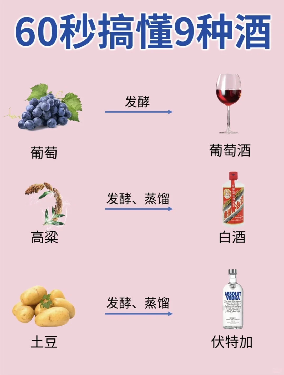 一次性搞懂9种酒