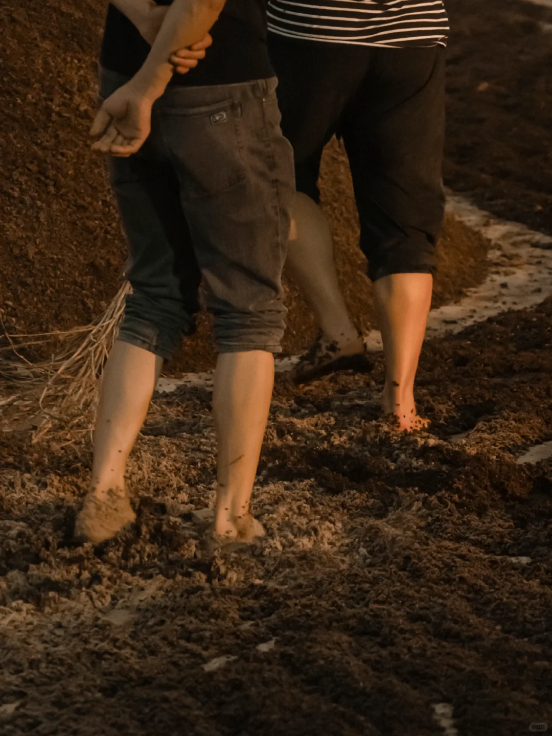 聚焦酒厂丨一杯酒的诞生来之不易