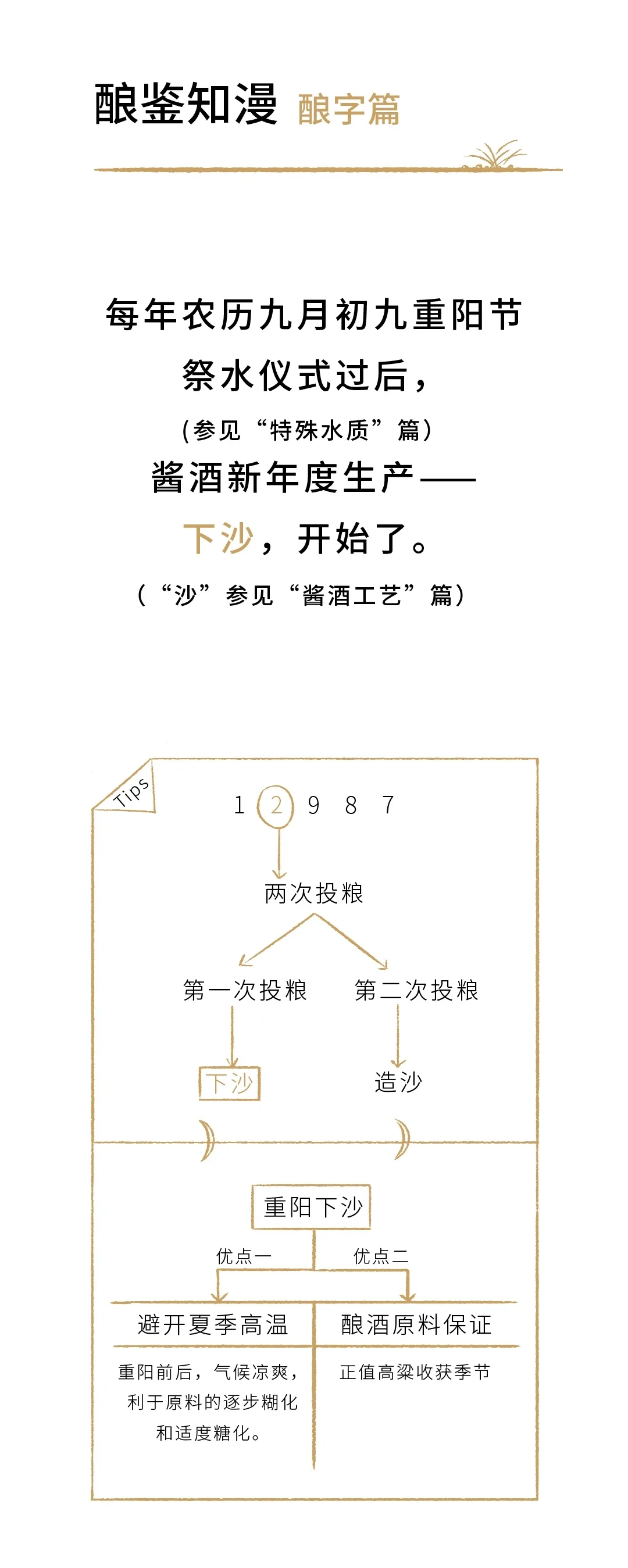 酱酒那些事儿（11）-酿字篇 重阳下沙（上）