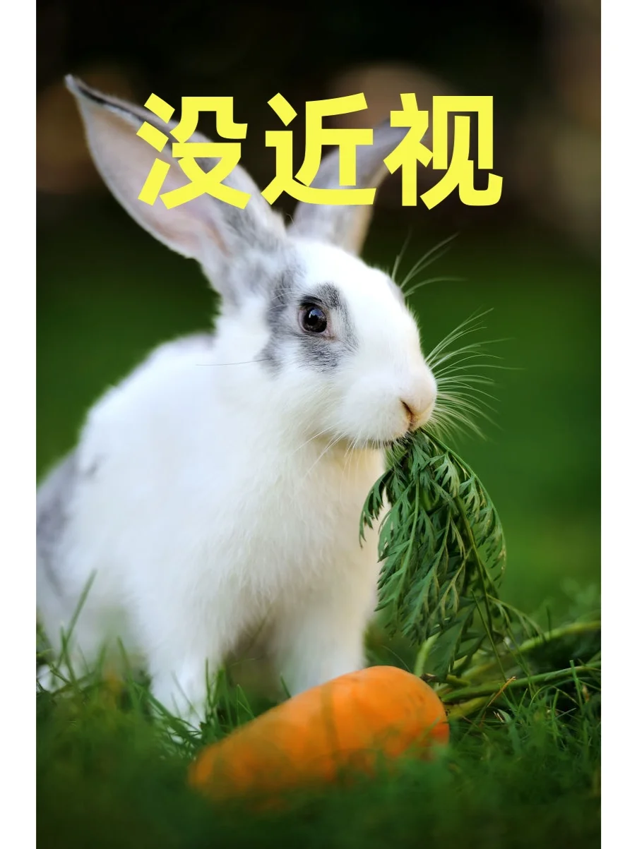 你的近视属于哪一级?别等度数爆表才后悔!