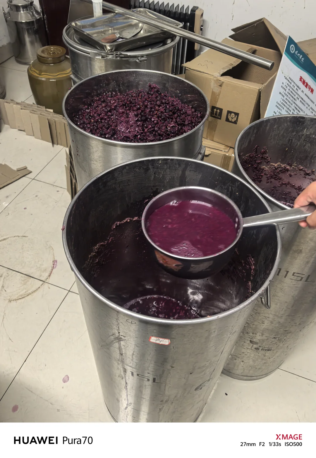 实验室酿葡萄酒?