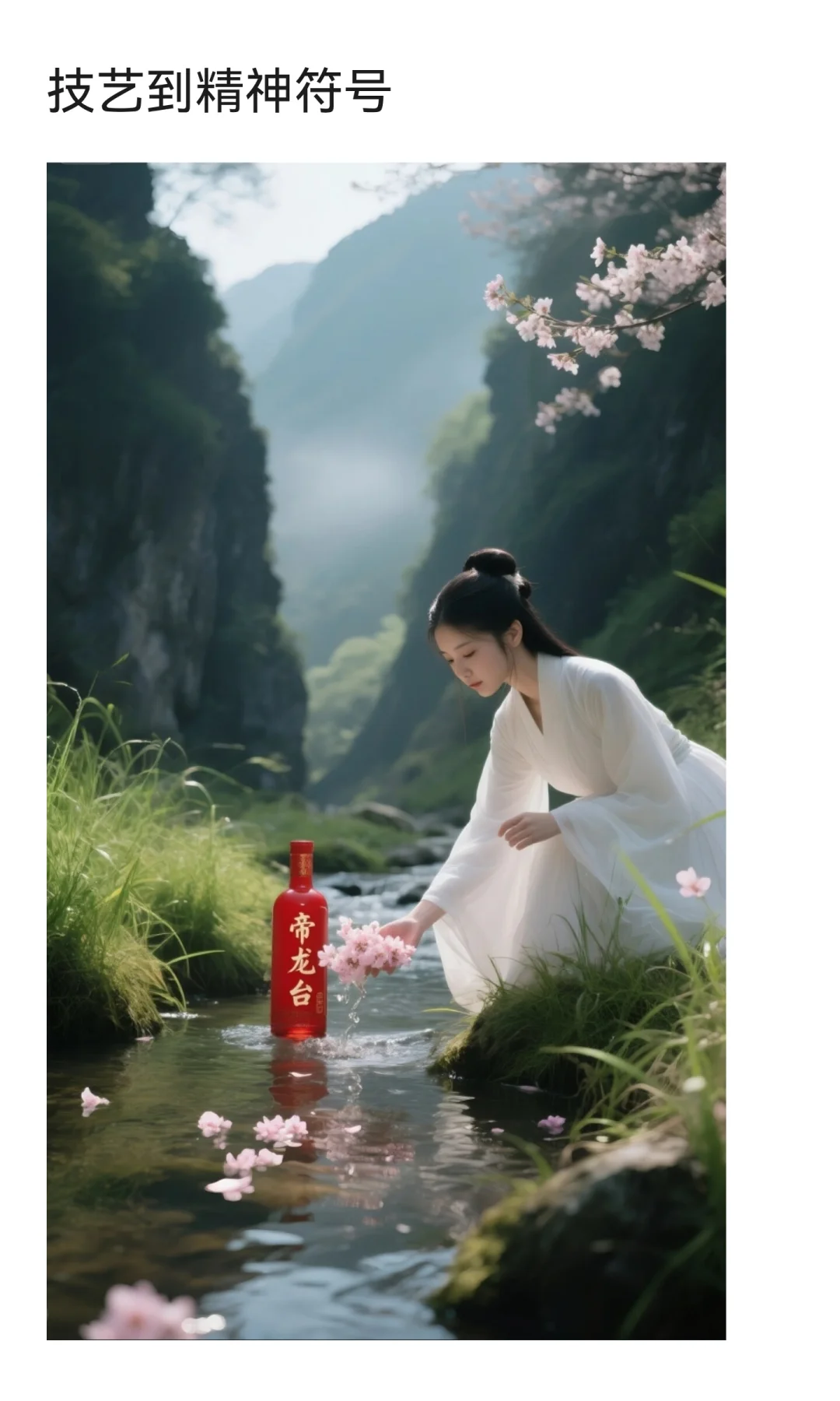 帝龙台酱酒讲述酱酒历史文化和发展历程