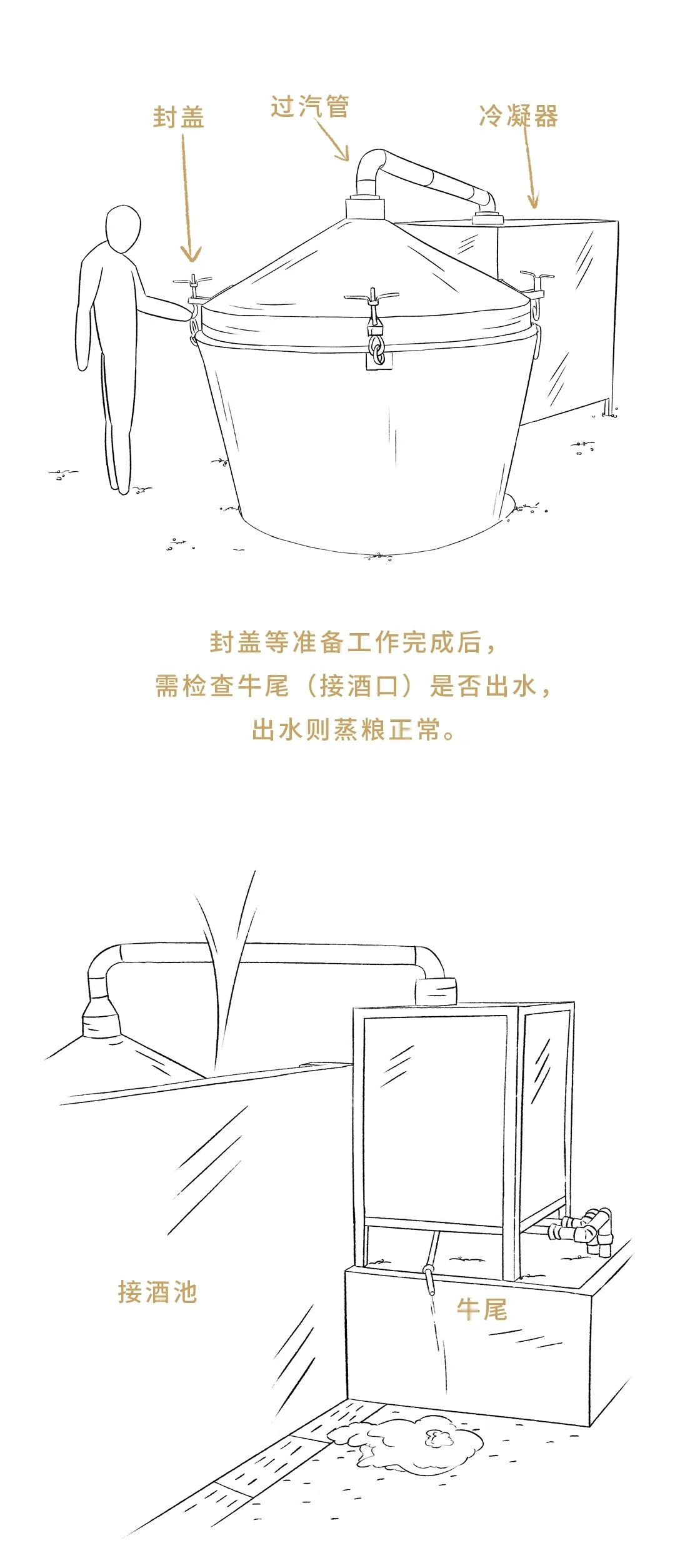 酱酒那些事儿（11）-酿字篇 重阳下沙（上）