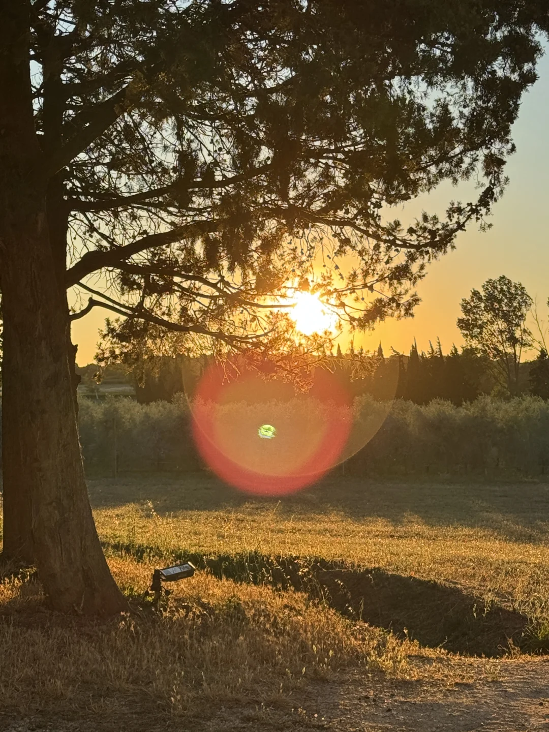 住进了南法的葡萄酒庄园