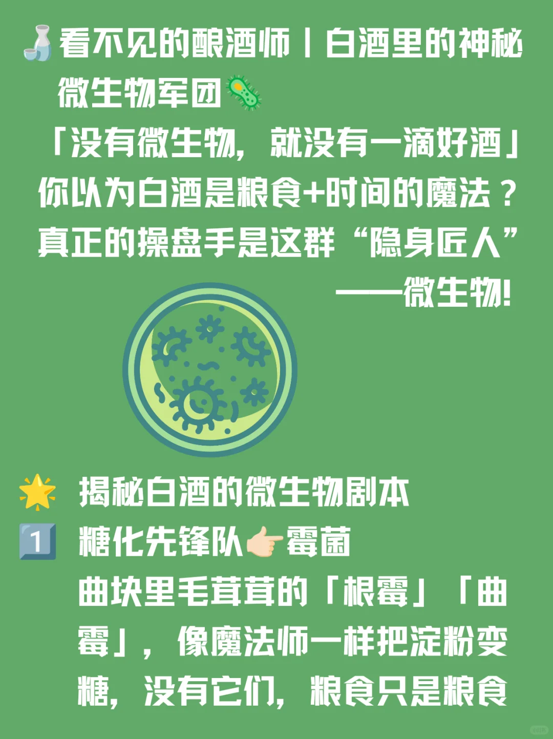 看不见的酿酒师｜白酒里的神秘微生物军团