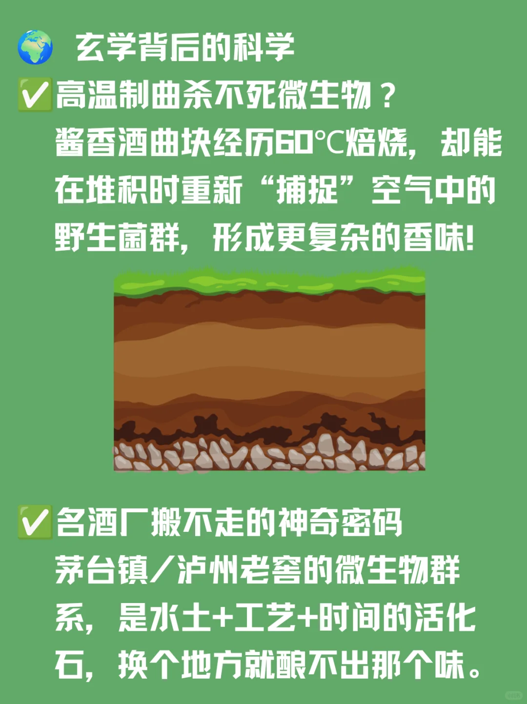 看不见的酿酒师｜白酒里的神秘微生物军团