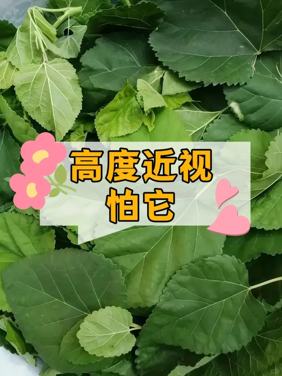 高度近视，只要找对方法，自愈非常快