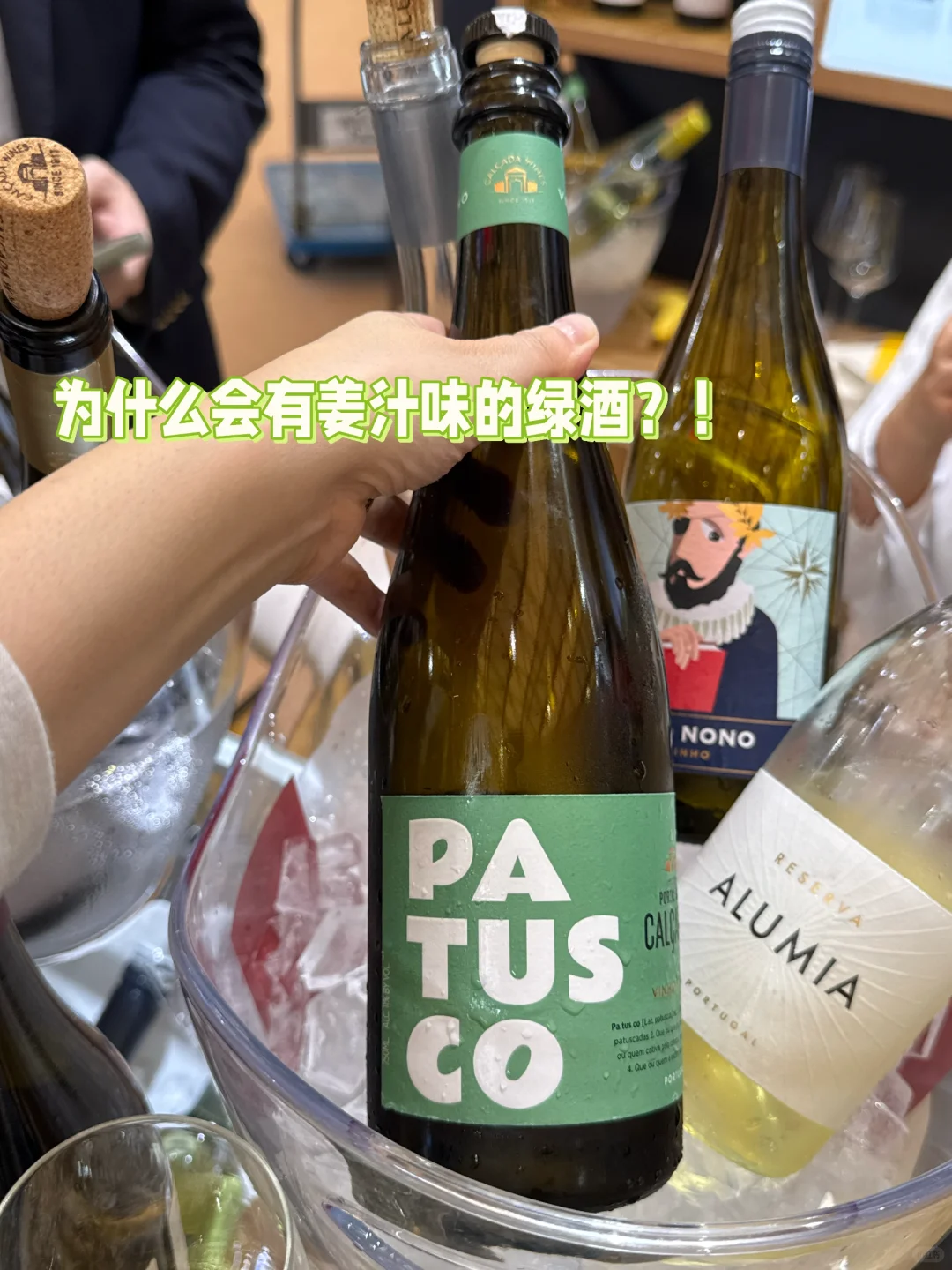 ?葡萄酒新人酒展随笔：小众酒&大师班??
