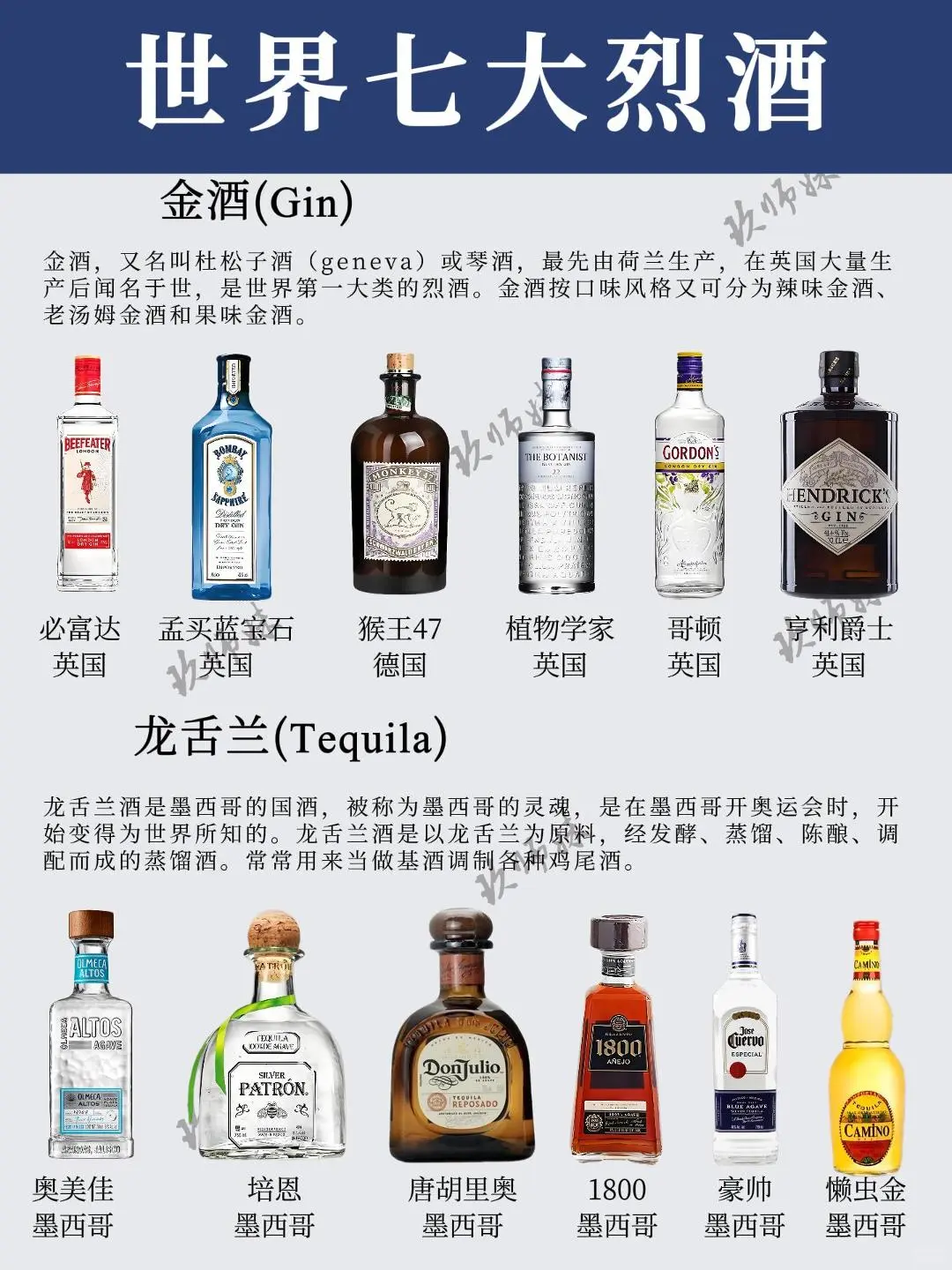 ?一图看懂世界七大烈酒，秒变董酒达人！
