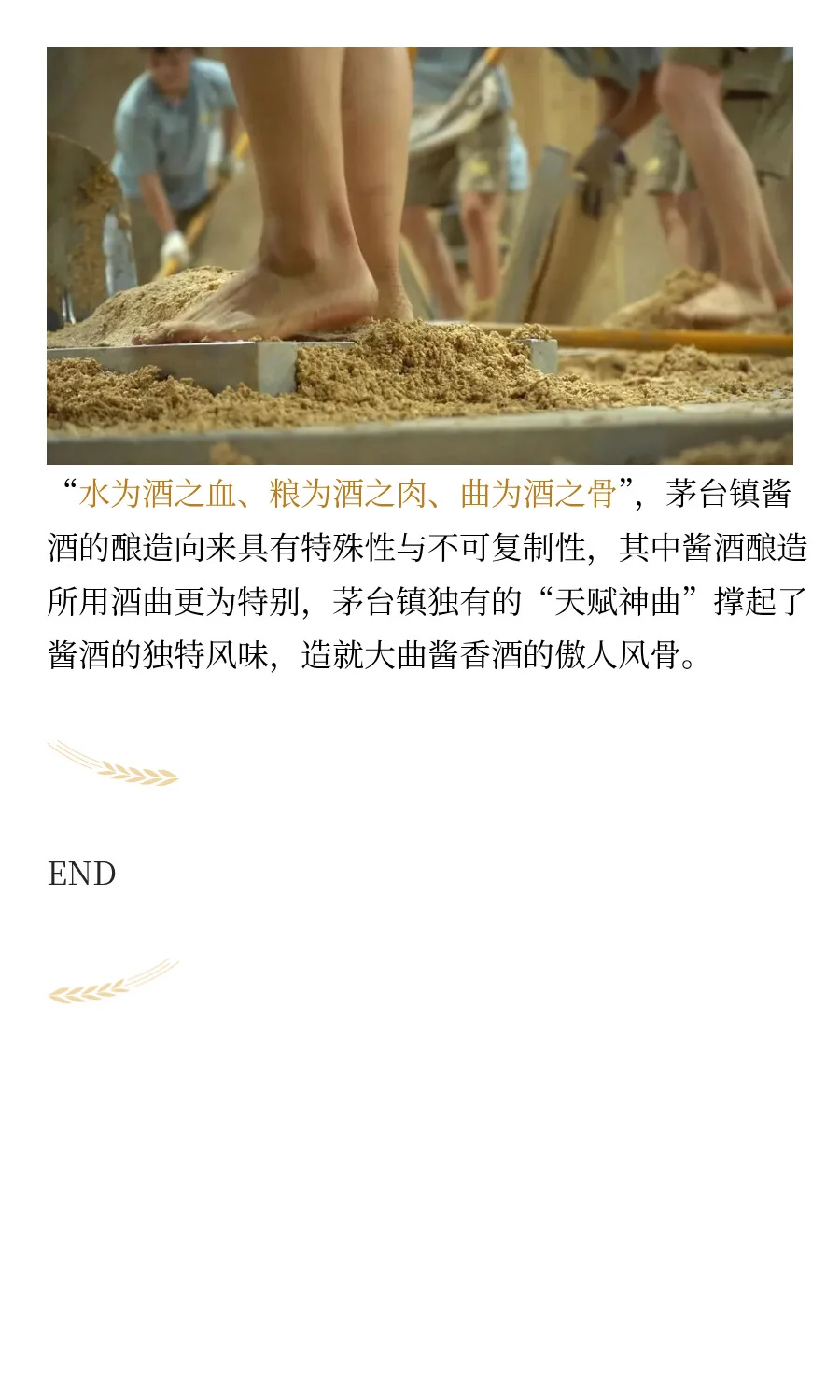 为什么只有茅台镇7.5公里的酱香酒才正宗