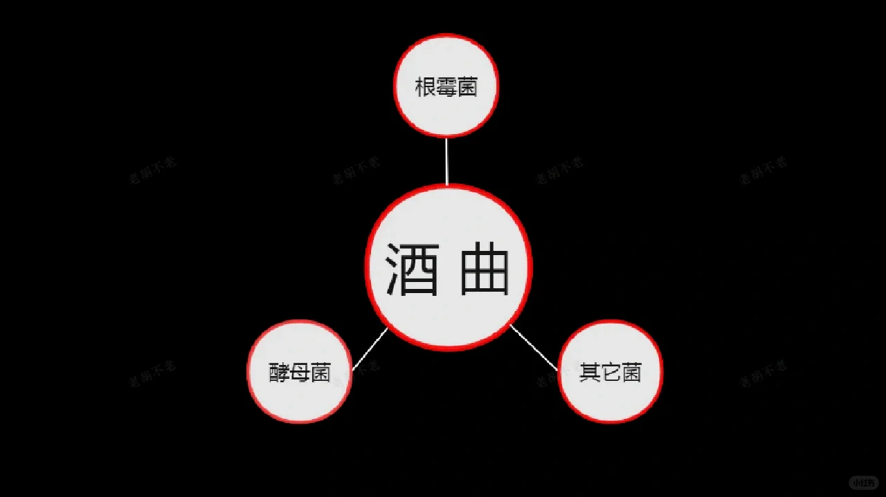 为什么酿酒都离不开酒曲？其作用是什么？