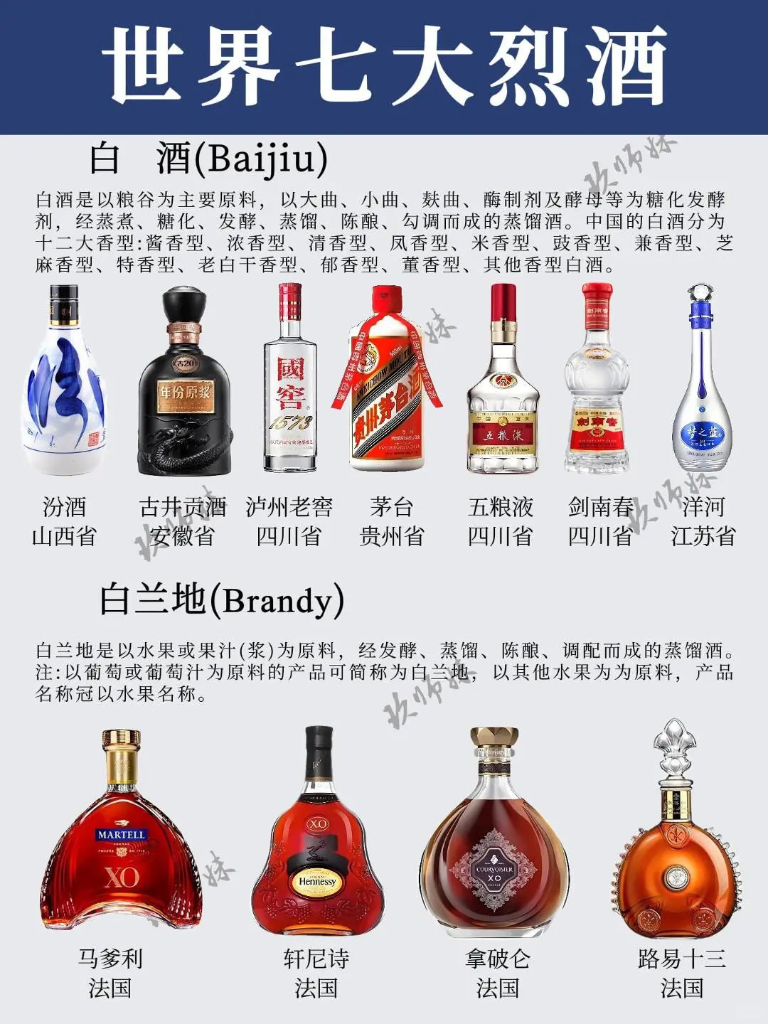?一图看懂世界七大烈酒，秒变董酒达人！
