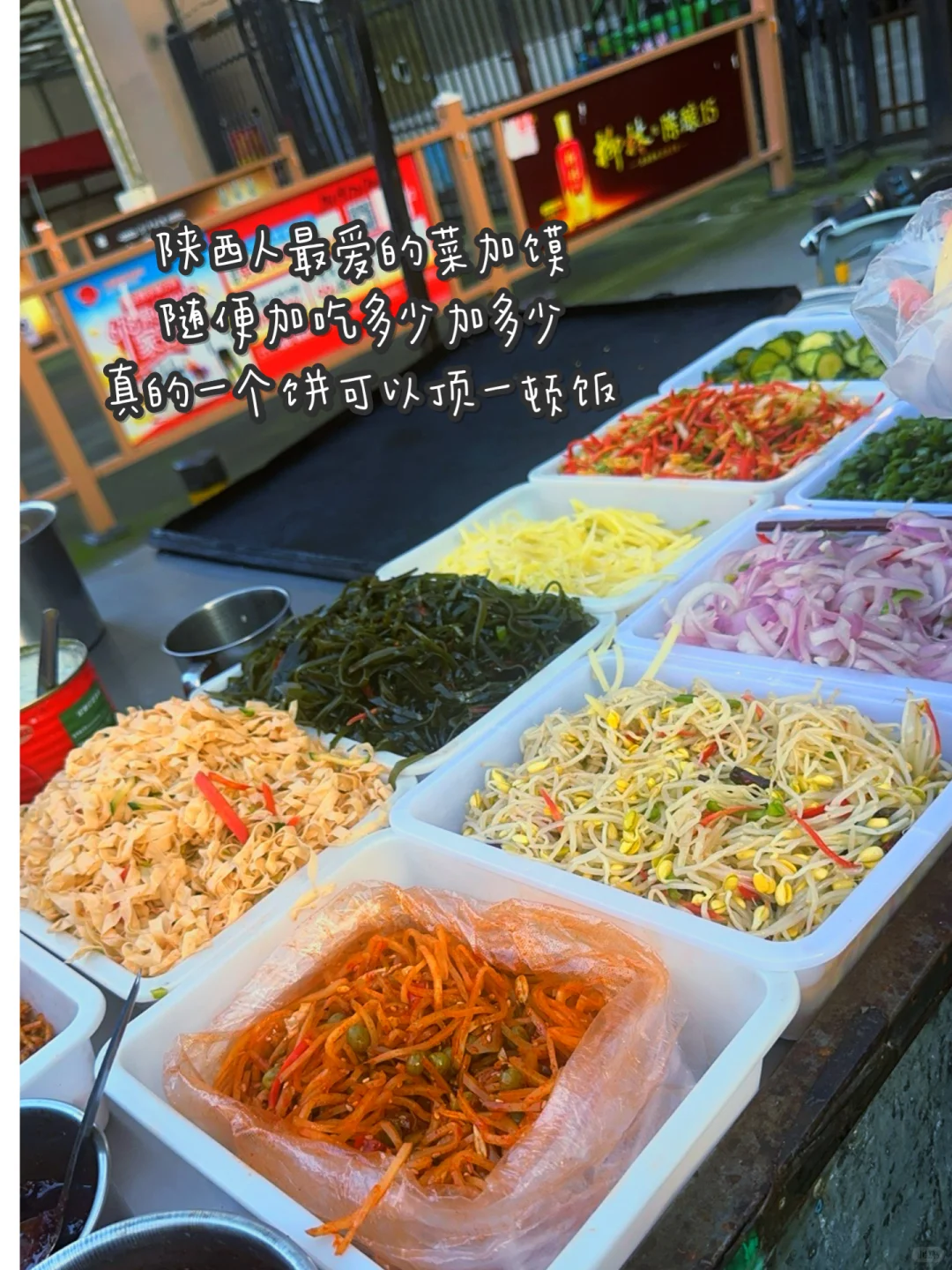 ?新手博主别焦虑！从“贴贴”到铁粉的进阶干