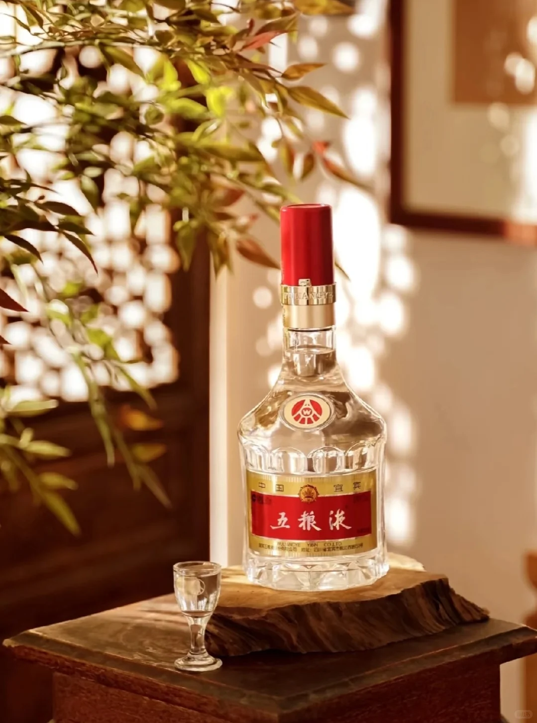 谁说白酒只是 “爸爸们的饮料”？