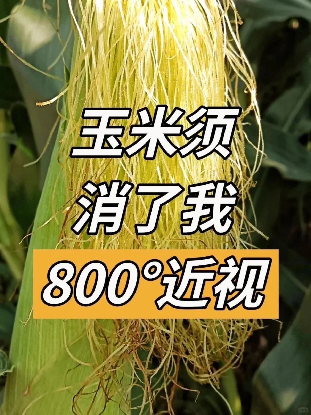 高度近视，就怕它!