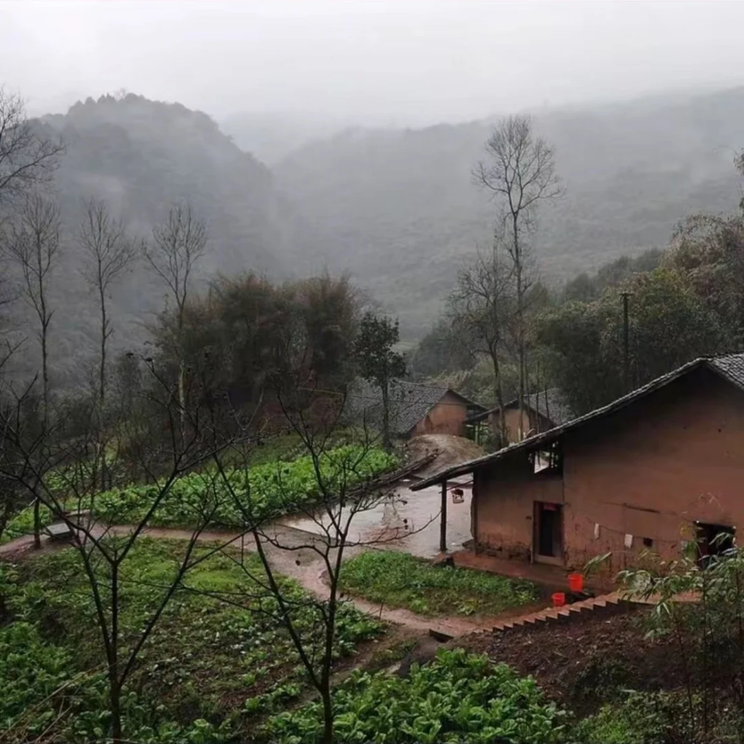 挑战180天从800度降到500度