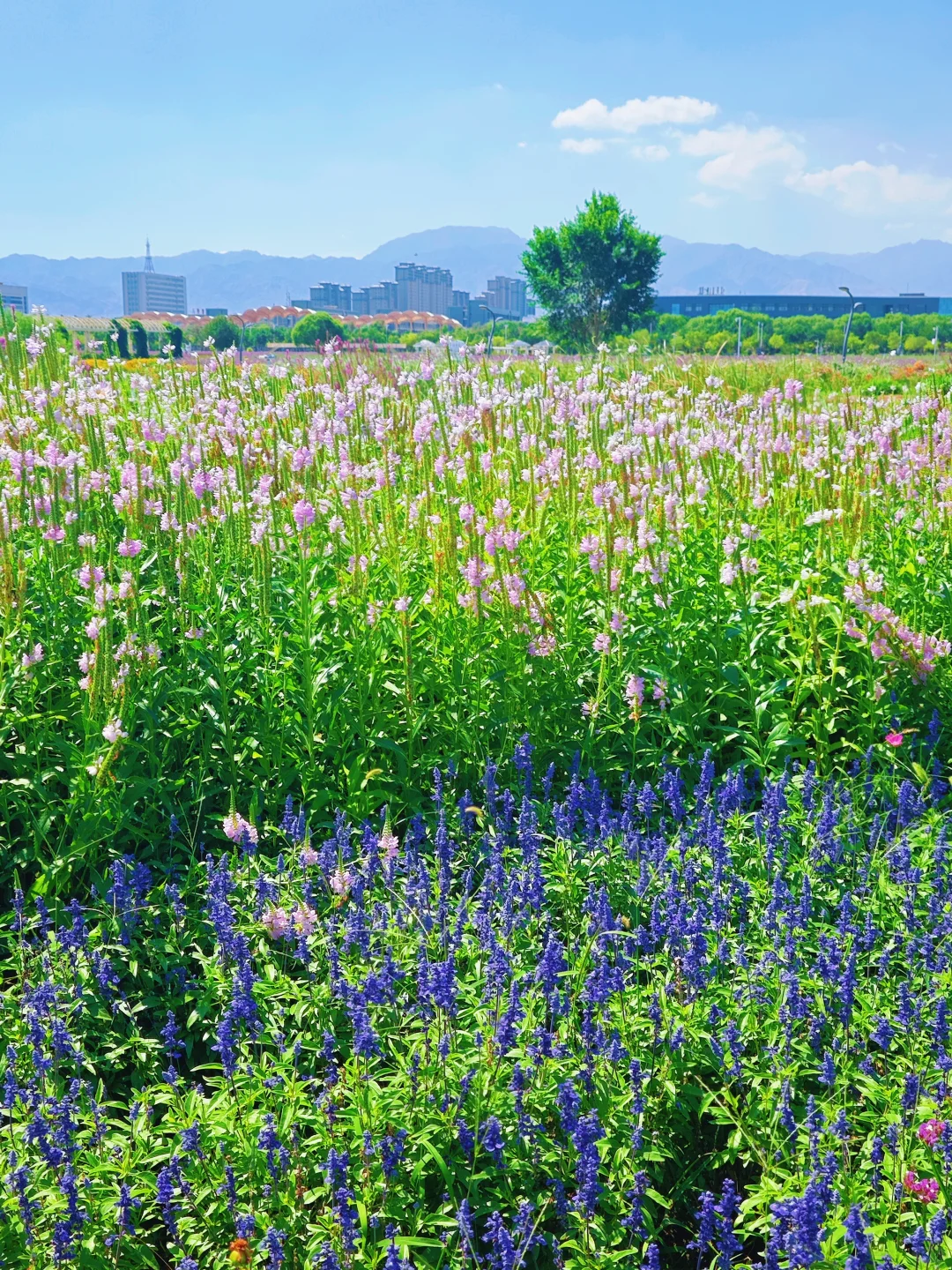 第一次喝白酒，干了20杯是什么水平？
