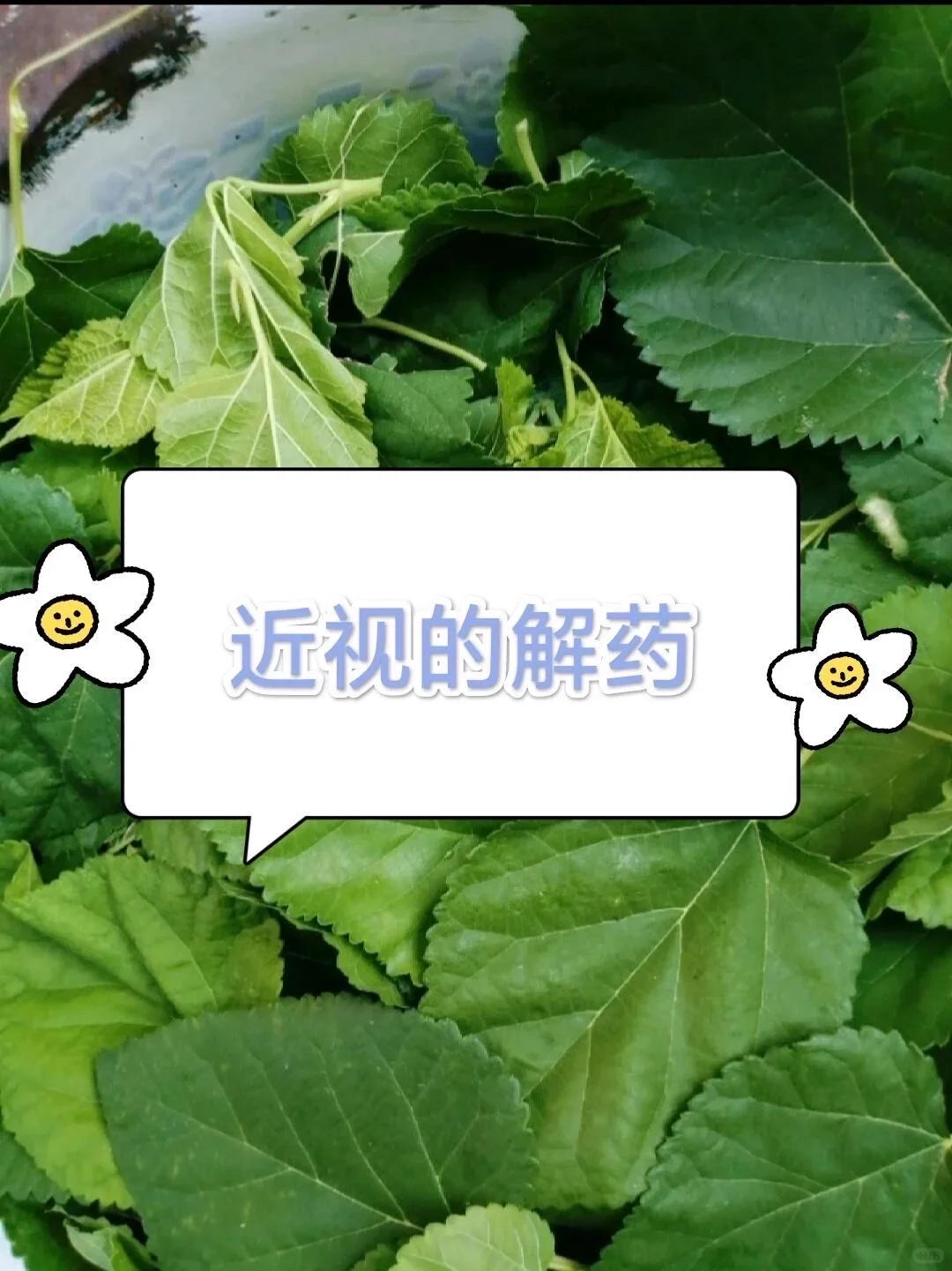 高度近的解药就是这个?