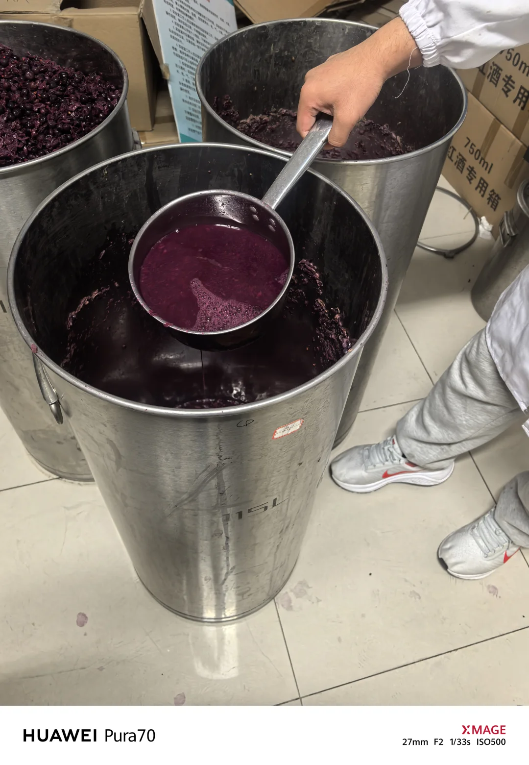 实验室酿葡萄酒?