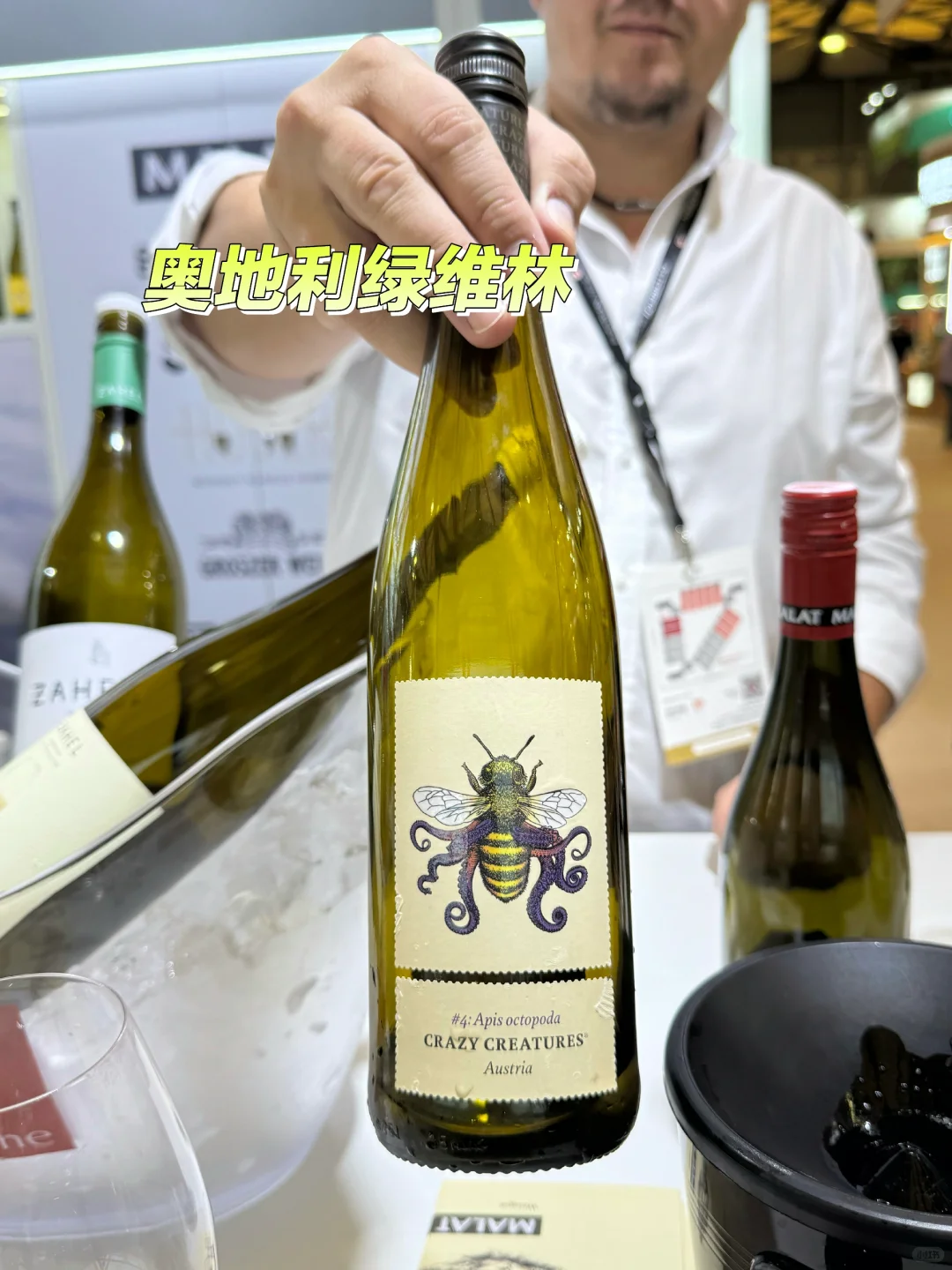?葡萄酒新人酒展随笔：小众酒&大师班??