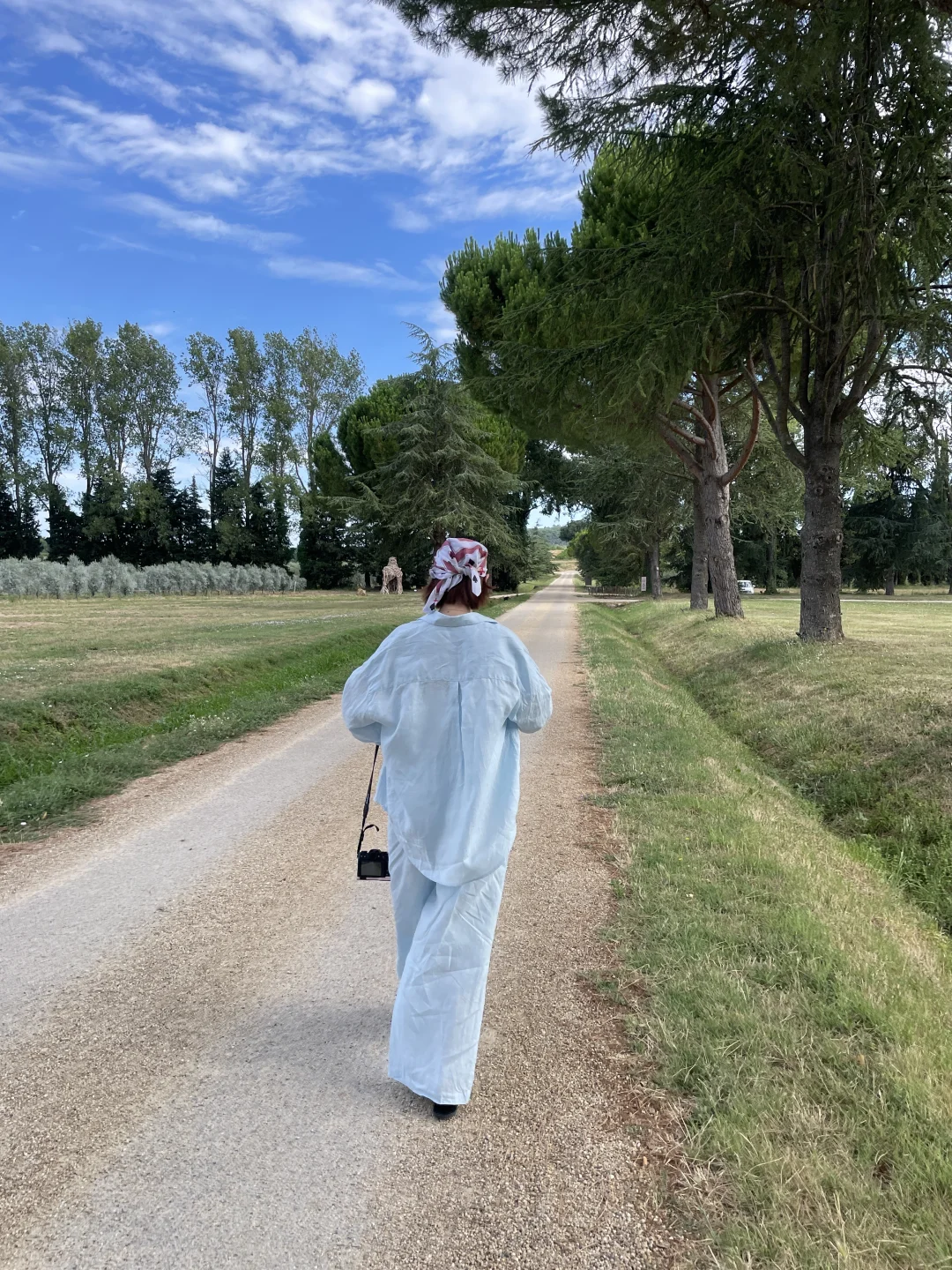 住进了南法的葡萄酒庄园