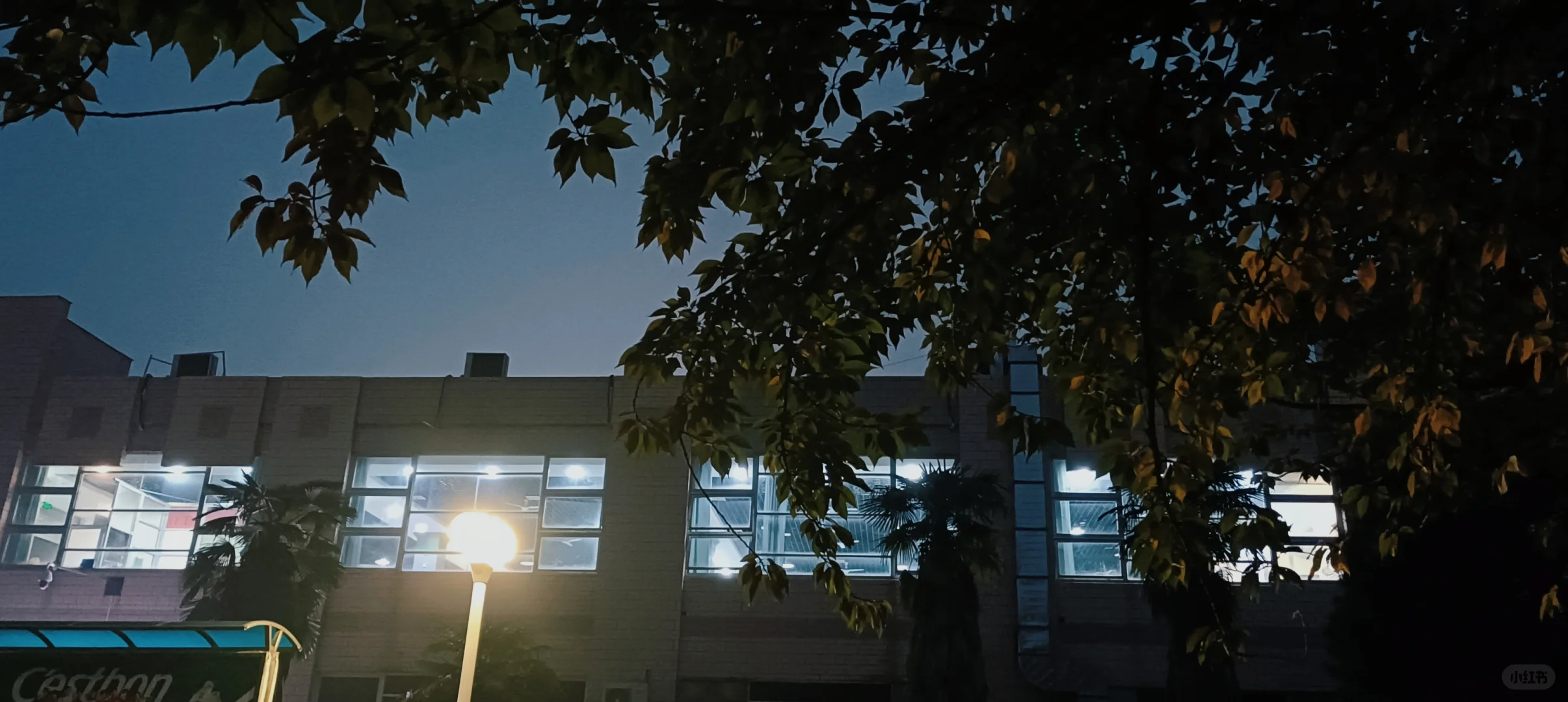 西北农林科技大学学习葡萄酒的生活碎片?