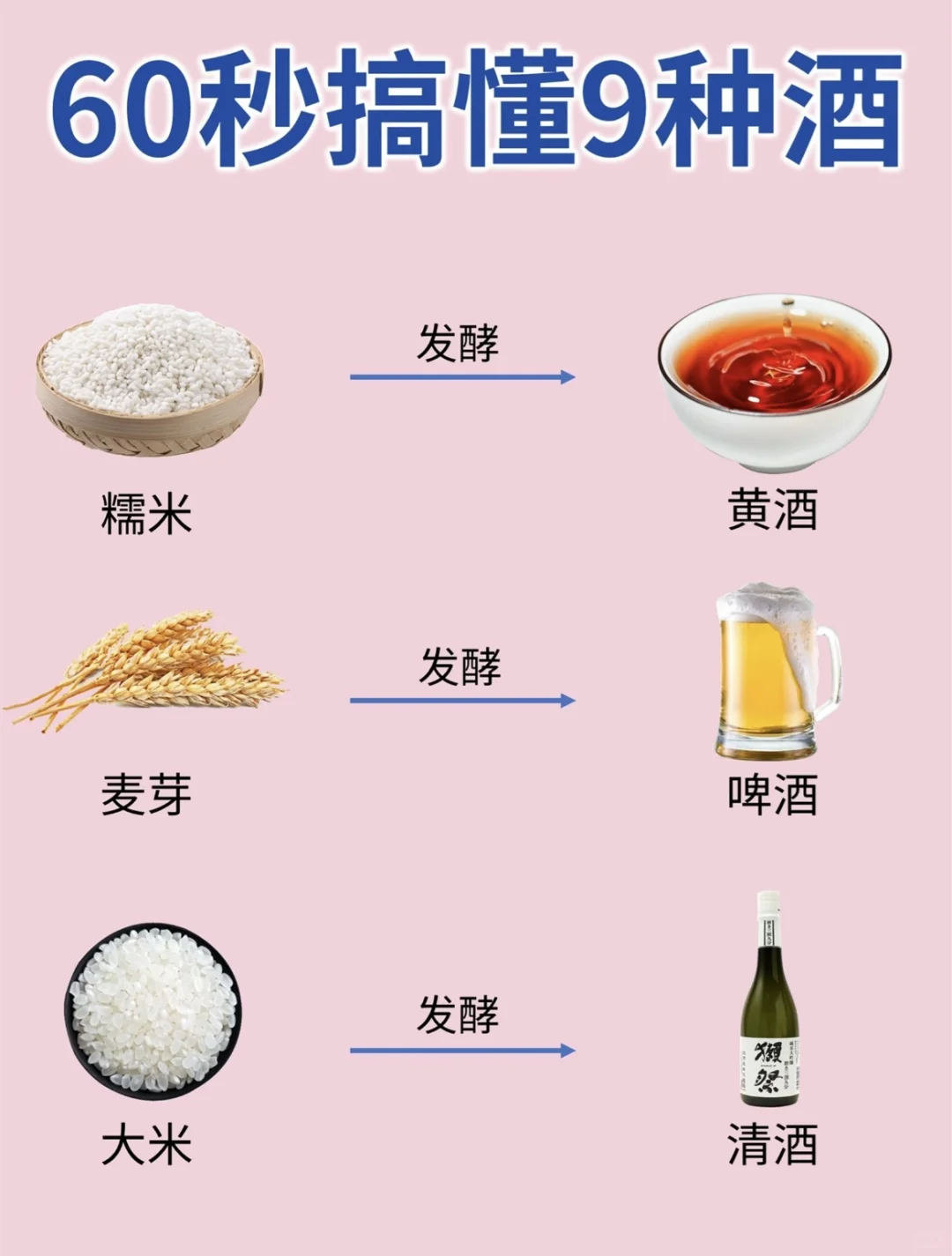 一次性搞懂9种酒