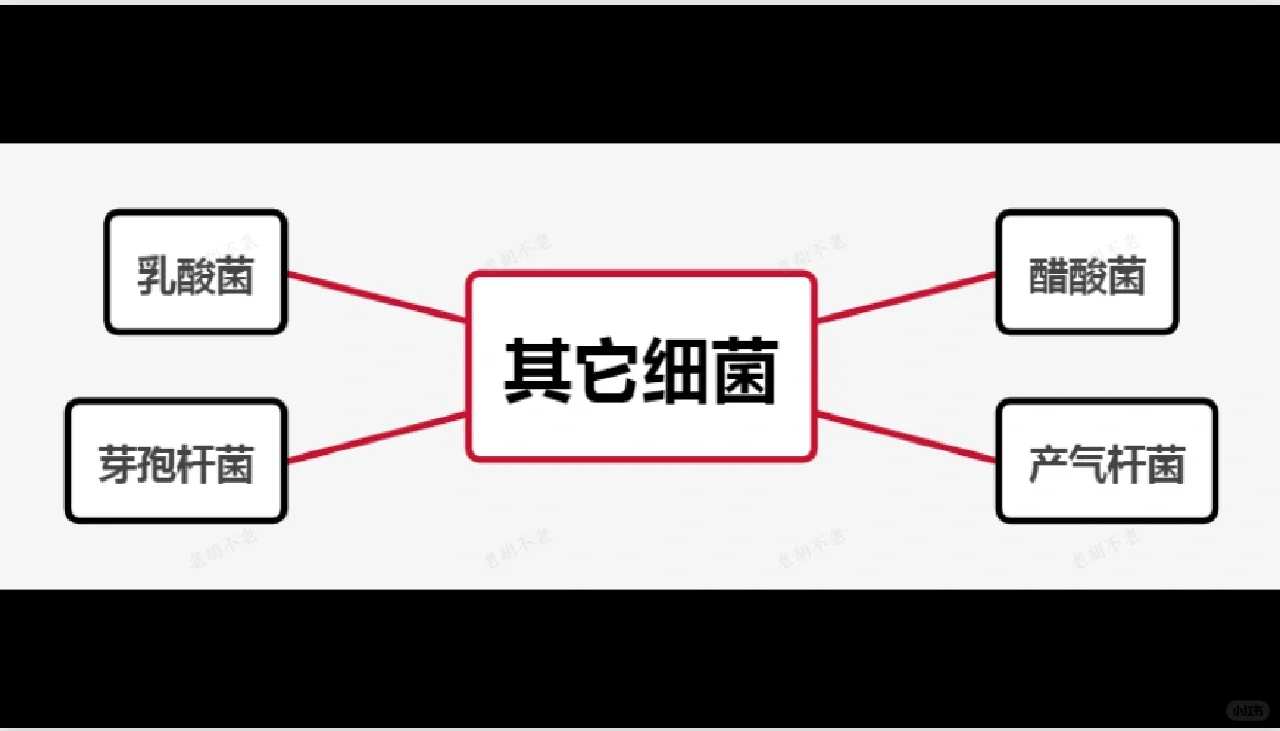 为什么酿酒都离不开酒曲？其作用是什么？