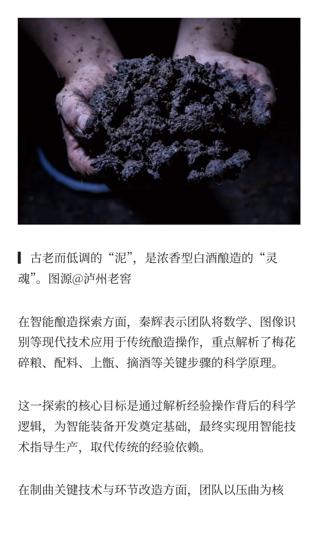从窖泥生态到AI酿造，科技如何重塑发酵？