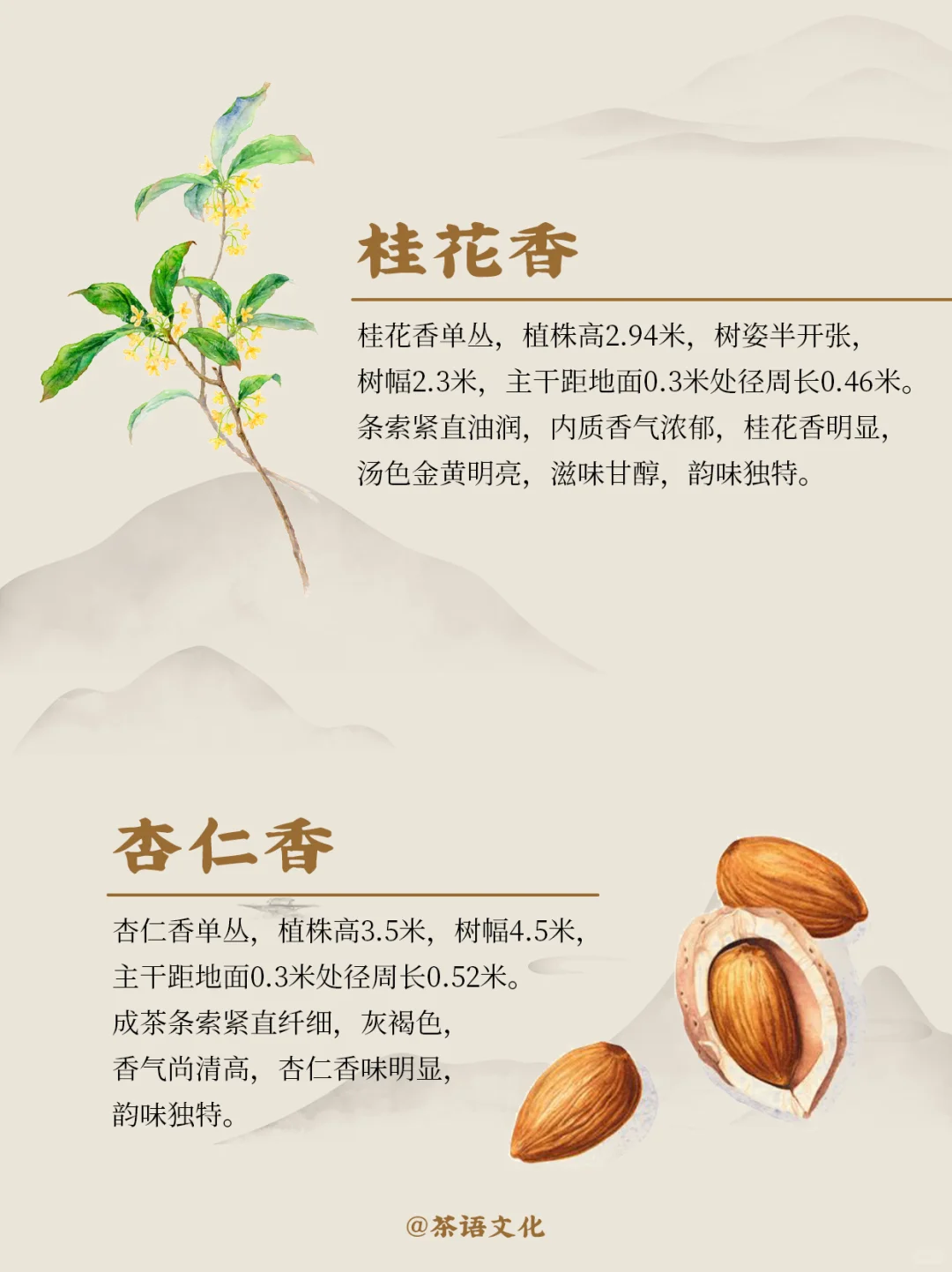 茶中香水|看完秒懂凤凰单丛十大香型！