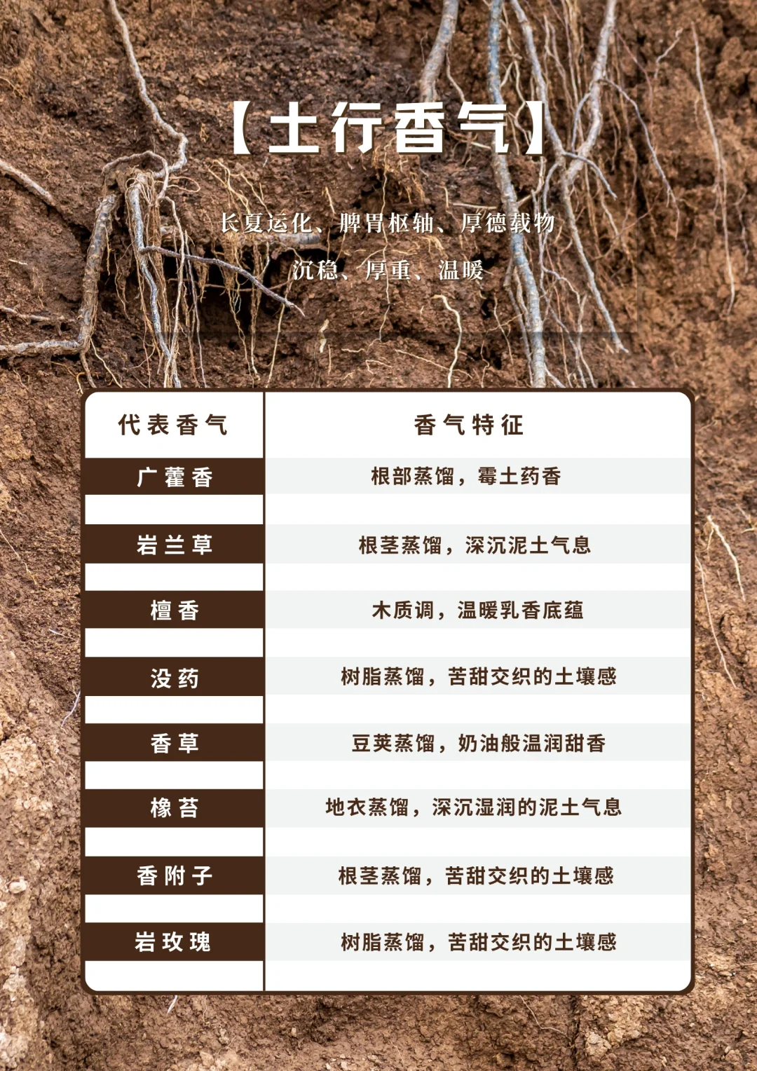 一张表看明白：五行适配的植物香气清单