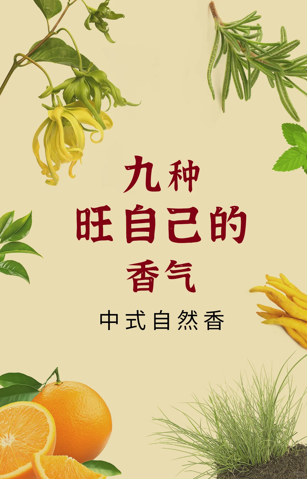 ?九种旺自己的香气｜中式自然香提升运势