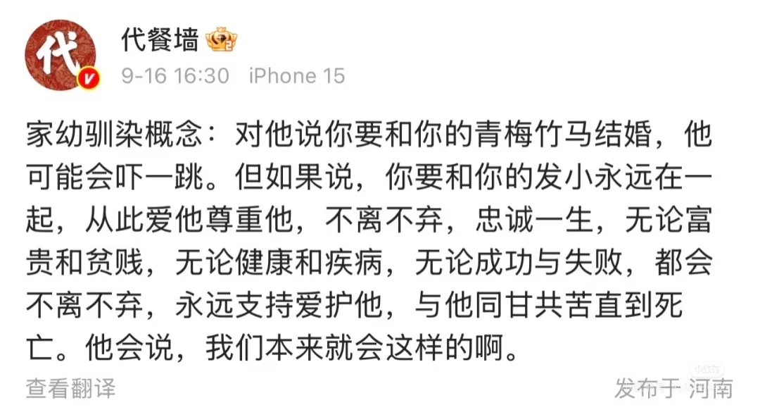 存点代餐文梗以后写5.0