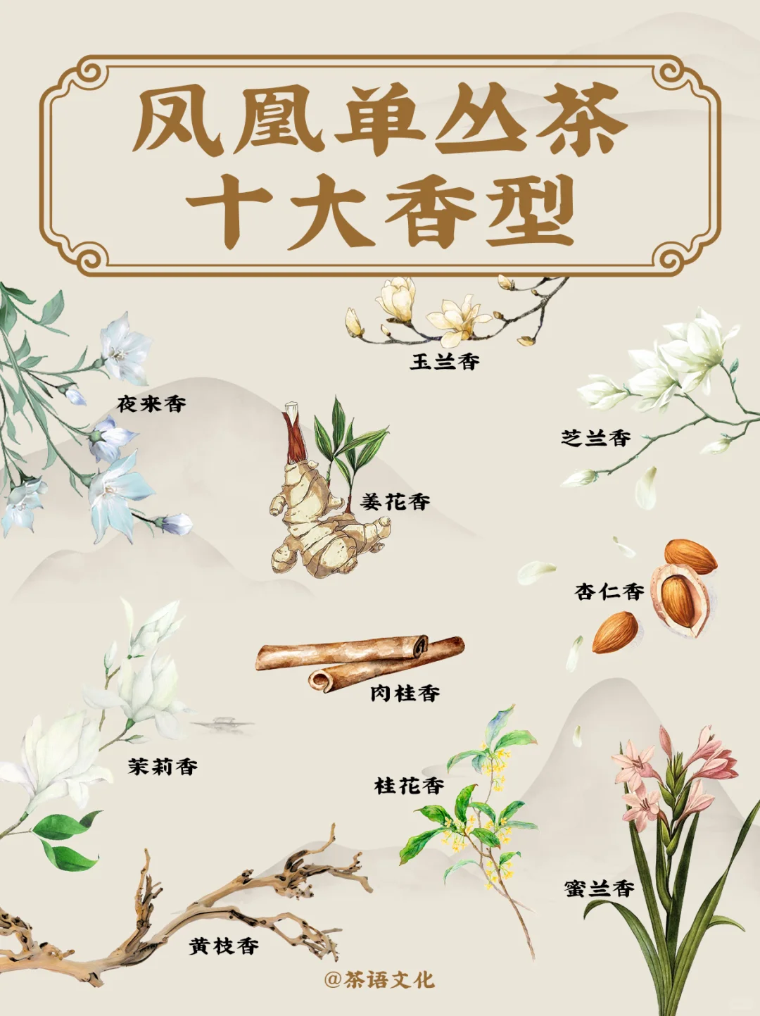 茶中香水|看完秒懂凤凰单丛十大香型！