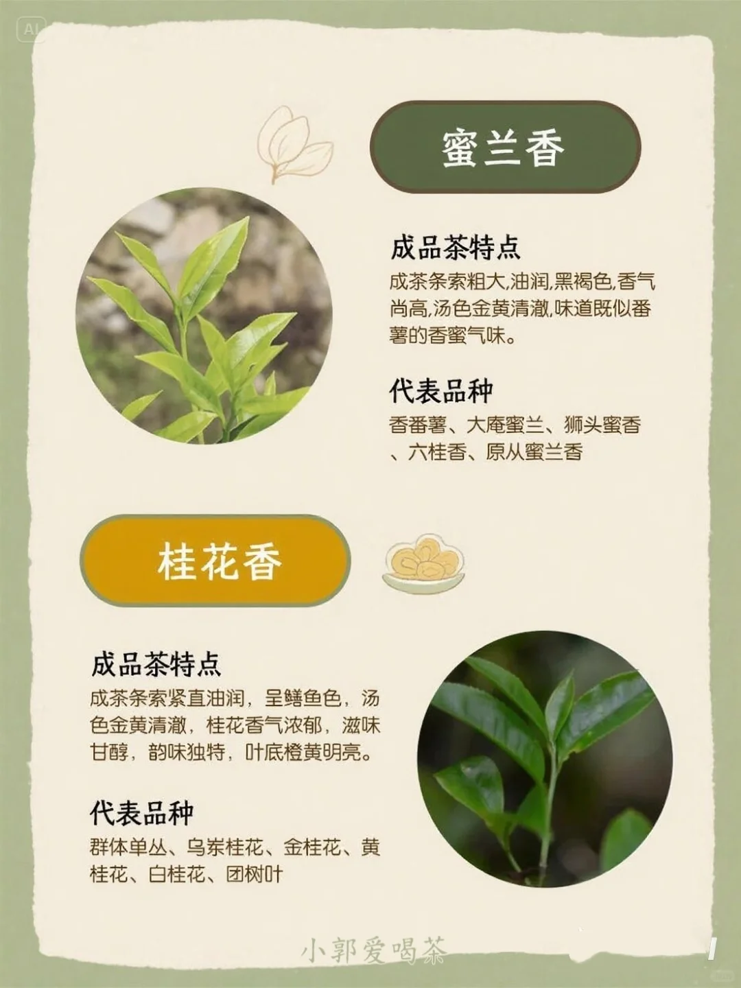 ? 一张图看懂凤凰单枞十大香型！