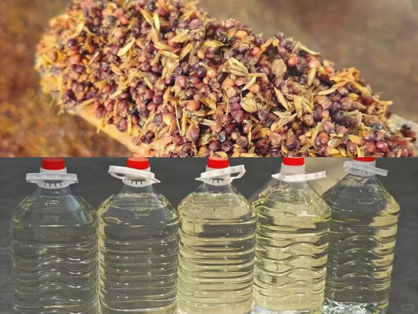 传统匠心 · 纯粮原酿