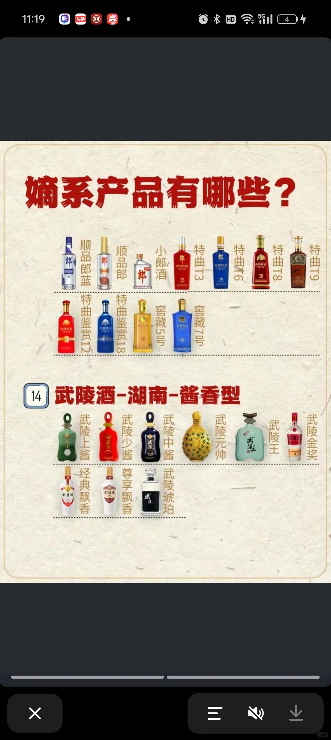 17大名酒嫡系酒