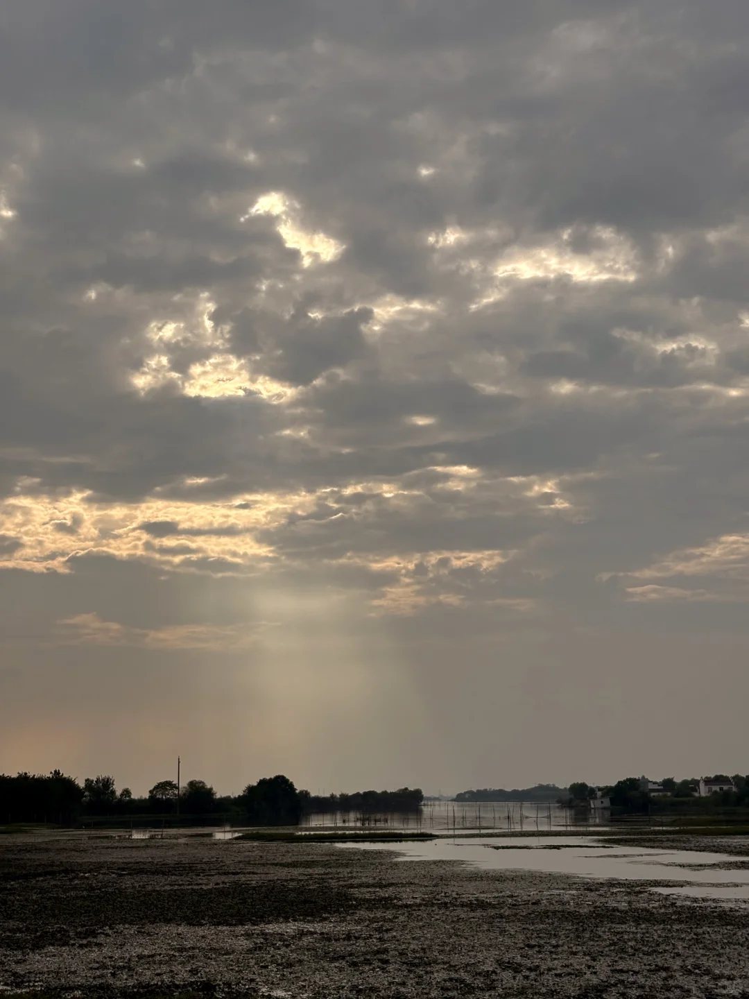 家乡何庄的红高粱熟了