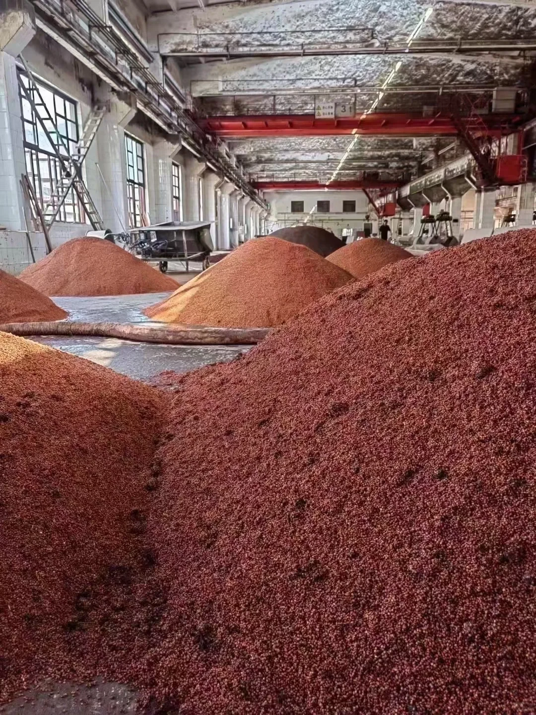 酱香型白酒为什么强调用“糯高粱”酿造？