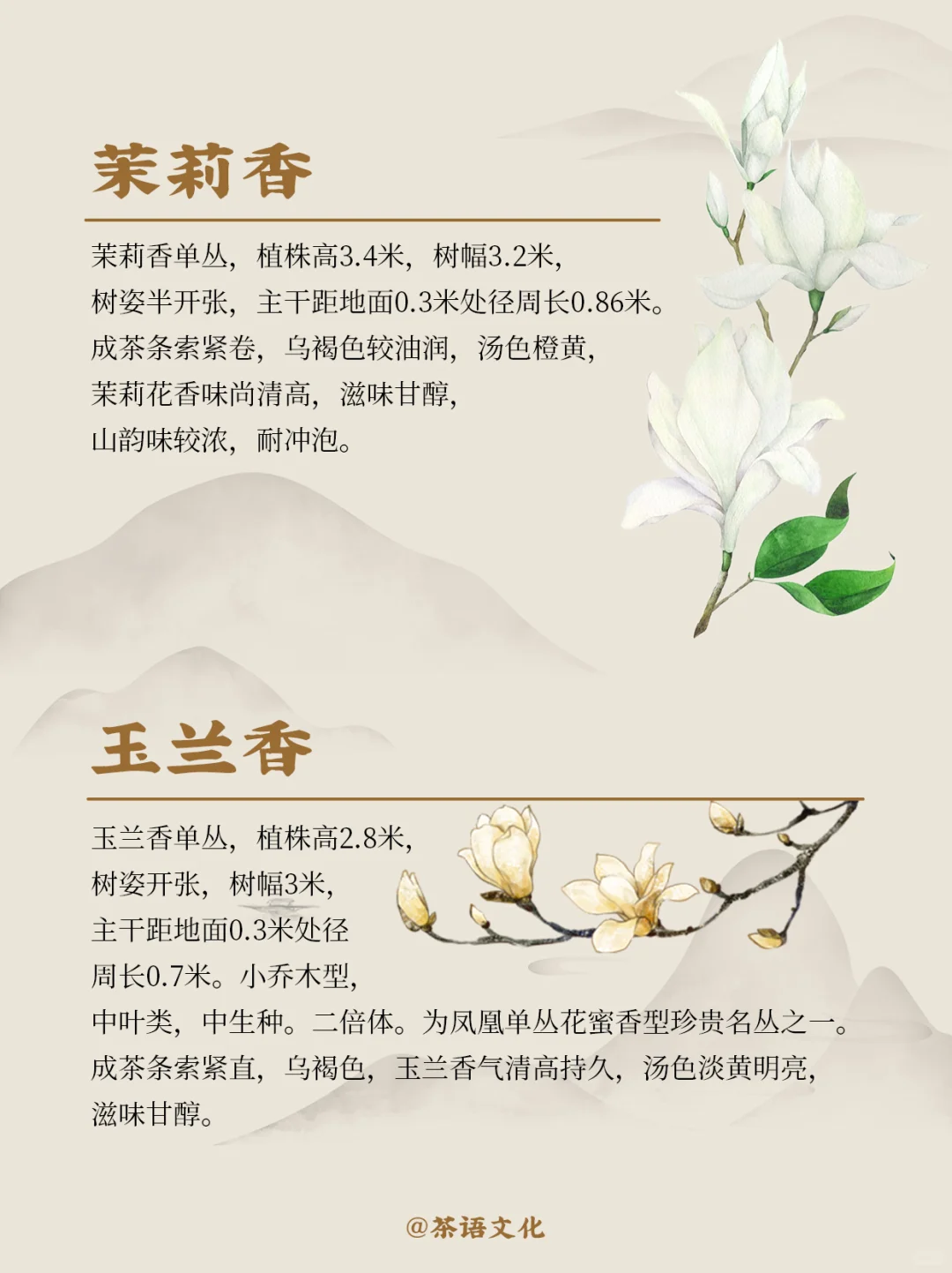 茶中香水|看完秒懂凤凰单丛十大香型！